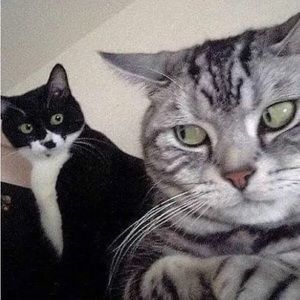 Meet your Posher, Jackie